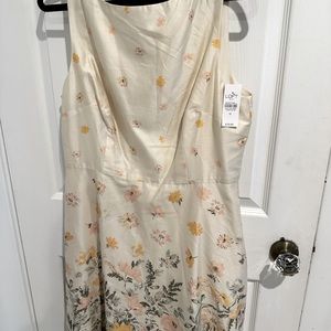 Ann Taylor Loft dress